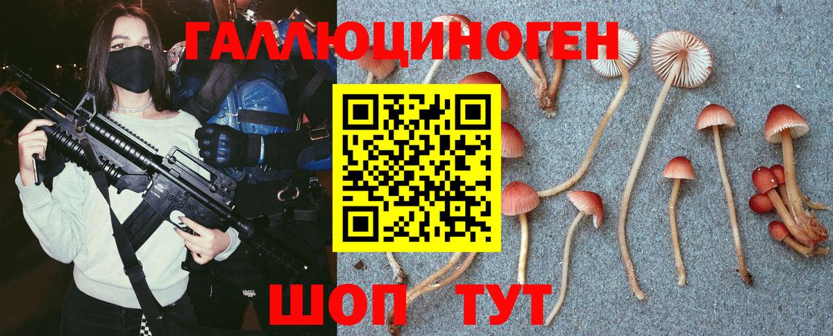 Псилоцибиновые грибы мухоморы Звенигород