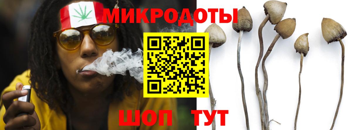 Псилоцибиновые грибы ЛСД  Вход с VPN  Звенигород 