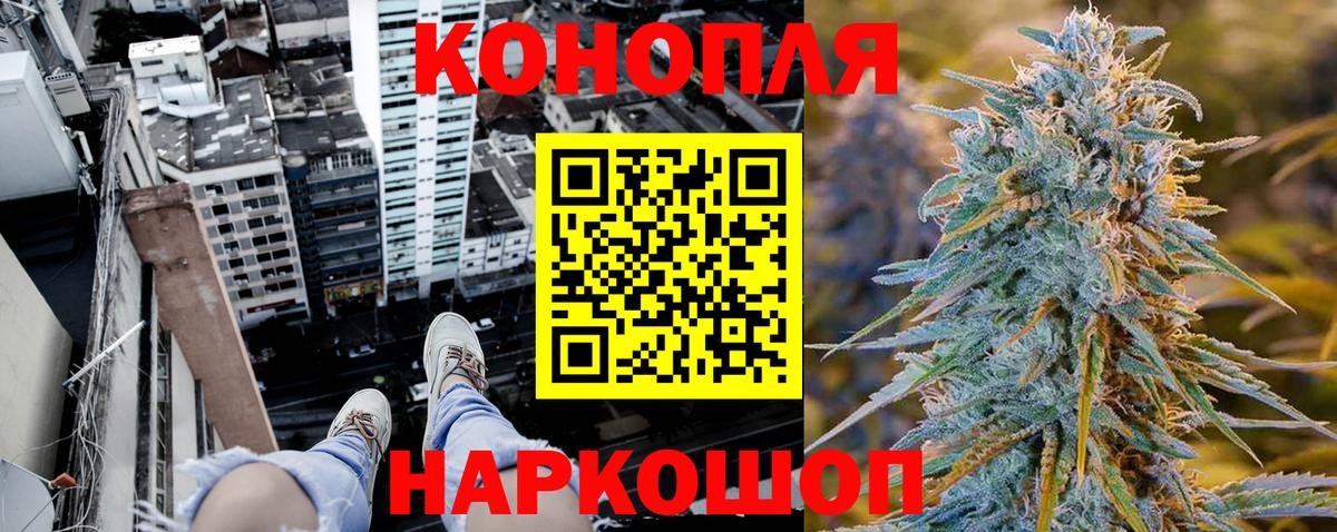 Каннабис индика Звенигород